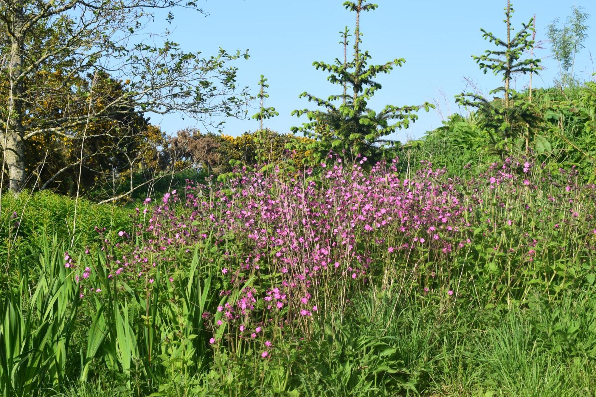Shepherd'S Loch Glamping Turriff المظهر الخارجي الصورة